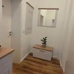 شقة 